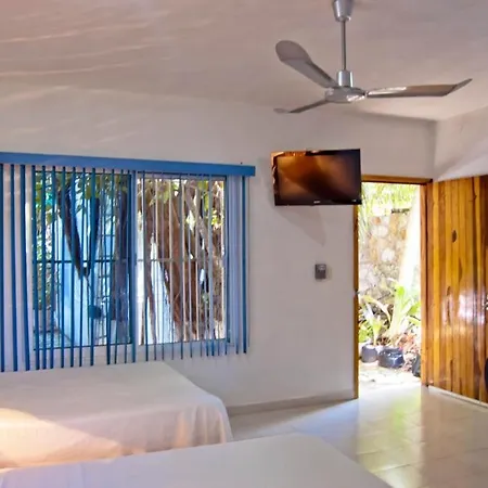The Jungle Beach Playa Del Carmen Hotel